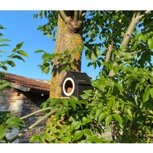 Ahşap Dekoratif Kuş Evi Yuvası, Yuvalık, Balkon , Bahçe Aksesuarı