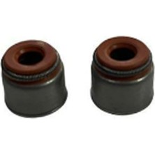 Moto Eczane Sübap Yağ Keçesi Tvs Apache