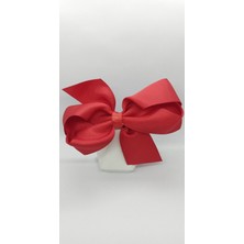 Kırmızı Renk Fiyonk Pens Toka