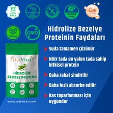 OatVital Hidrolize Bezelye Proteini