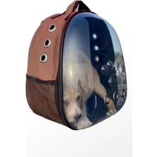 Deri Astronot Kedi ve Köpek Taşıma Çantası Kahverengi