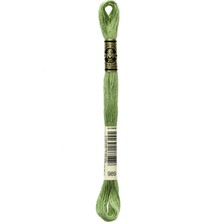 DMC Muline Iplik 989