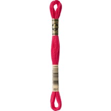 DMC Muline Iplik 891