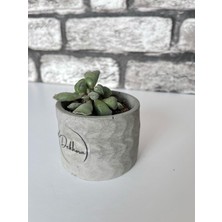 Beton Zikzak Model Saksı