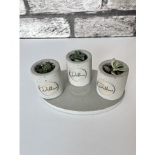 Beton 3lü Tepsili Saksı