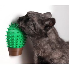 Kaktüs Kedi Kaşıma Aparatı – Catnip Hazneli, Duvara Takılabilir