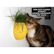Ananas Şekilli Kedi Kaşıma Aparatı (Kedi Çimi Eklenebilir – Duvara Montaj – Dekoratif Tasarım)