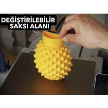 Ananas Şekilli Kedi Kaşıma Aparatı (Kedi Çimi Eklenebilir – Duvara Montaj – Dekoratif Tasarım)