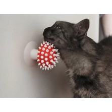 Mantar Görünümlü Kedi Kaşıma Oyuncağı – Tımar Mantarı | Catnip Uyumlu, Duvara Yapıştırılabilir
