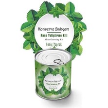 Timestart   Nane Yetiştirme Kiti