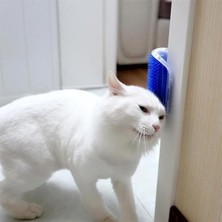 Timestart Pratik Kedi Tüyü Kaşıma ve Tarama Aparatı Duvara Monte Kaşıma Aleti