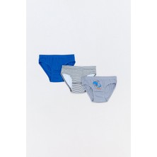 Dinozor Baskılı 3 Lü Erkek Çocuk Slip Külot