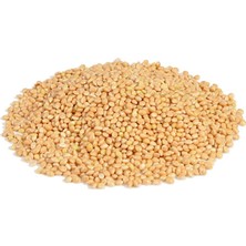 1 kg Muhabbet Kuşu Yemi Ak Darı