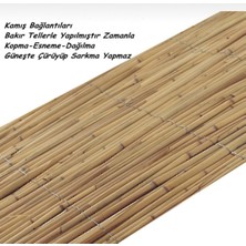 Kamış Çit Bambu Çit Hasır Doğal 1,00 x 5,00 Metre (Telli) Bej Tek Ebat