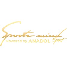 Sports Mind Anadol Sports Sticker 17X17 cm Gold