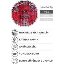 Vintage Kırmızı Eskitme Desenli Dijital Baskı Halı | Kaymaz Taban, Yıkanabilir, Şık ve Zamansız