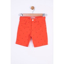 4-8 Yaş Arası Erkek Çocuk Şort