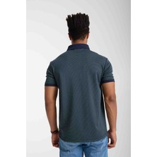 Lacoste  Polo Çizgili Nefti Regular Fit