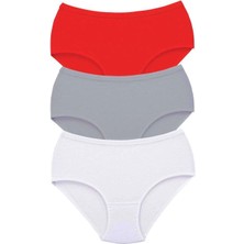 3 Adet Tutku Kadın Yüksek Bel Bato Kalın Lastik Külot S9