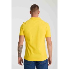 Lacoste  Polo Paris Regular  Sarı