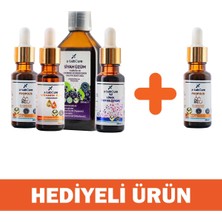 X-Labcure Paketi Propolis Hediyeli