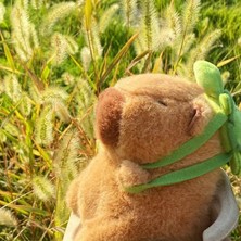"23CM Capybara Peluş Simülasyonu Capibara Anime Tüylü Oyuncak Sevimli Bebek Doldurulmuş Hayvanlar Yumuşak Bebek Peluş Noel Şükran Günü Hediyesi " (Yurt Dışından)