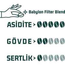 Haldia Coffee Babylon Filtre Blend Kahve (Öğütülmüş Filtre Kahve) 1000GR