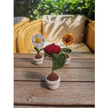 El Yapımı Mini Saksı Çiçek – Masa Süsü Papatya