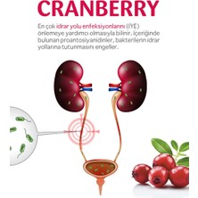 Fıtrina Cranberry 60 Kapsül