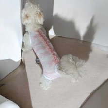 Dişi Köpek Periyod Külotu, Dişi Köpek Zıbın Külot