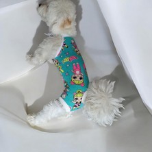 Dişi Köpek Periyod Külotu, Dişi Köpek Zıbın Külot