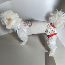 Dişi Köpek Periyod Külotu, Dişi Köpek Zıbın Külot