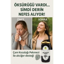 Egedya Çam Kozalağı PekmeziÇam Kozalağı Pekmezi 640gr. Organik Kozalak Pekmezi %100 Doğal - Egedya