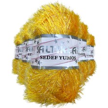 Saltıklar 5 Adet Gökkuşağı El Örgü Ipi Yünü 36