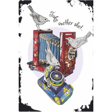 Eski Fotoğraf Kamerası Makinesi ve Kuşlar Vintage Tarz Retro Ahşap Poster