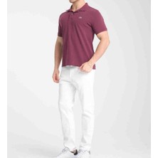 Lacoste  Polo  Classıc  Fit Mürdüm