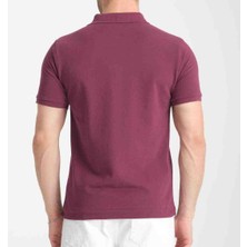 Lacoste  Polo  Classıc  Fit Mürdüm