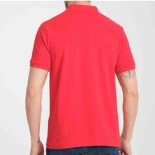 Lacoste Polo Classıc Fit Kırmızı