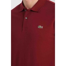 Lacoste  Polo Classıc Fit  Bordo