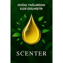 Scenter Lotus Çiçeği Çubuklu Oda Kokusu