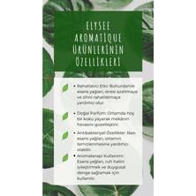 6'lı Set Esansiyel Uçucu Koku Yağı Difüzör Esansı Buhurdanlık Yağı Aromaterapi Yağı