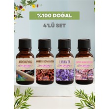 4'lü Set Esansiyel Uçucu Koku Yağı Difüzör Esansı Buhurdanlık Yağı Aromaterapi Yağı