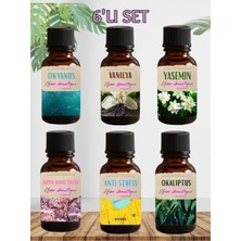 6'lı Set Esansiyel Uçucu Koku Yağı Difüzör Esansı Buhurdanlık Yağı Aromaterapi Yağı
