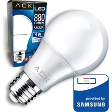 Ack LED Amp