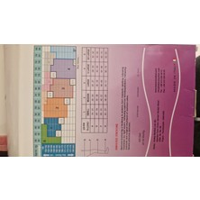 Ortho BG Orthobg Dizüstü Varis Çorabı Silikonlu No:3 Orta Basınç