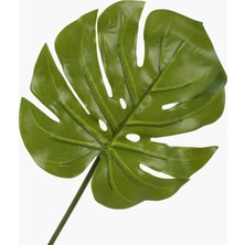 Büyük Monstera Yaprak Dal 71CM