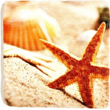 Teknotrust Dekoratif Figürlü Doğal Taş Banyo Gider Kapağı Süsü Tekli 10X10 cm