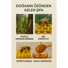 Har-Bee Çam Balı