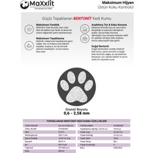 Marsilya Sabun Kokulu Topaklanan Bentonit  Kedi Kumu (2 Adet x 10 Lt.)
