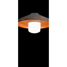 Ferled, (2 Adet) 50W LED Ampül, Torch Ampül, Büyük Watt LED Ampül, 3000 K (Günışığı Işık), Iç Mekanad(2 Adet)